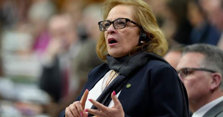 Canada opens new residency paths for military recruits, other workers - National