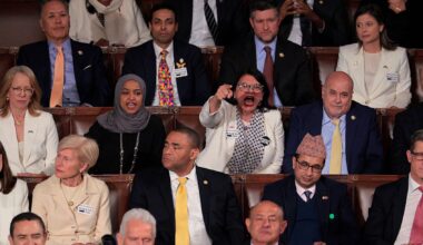 Democrats were divided in their responses to Trump's State of the Union (Chip Somodevilla/Getty Images)