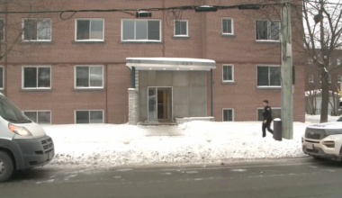 Ottawa police investigating fatal stabbing near Central Experimental Farm - CTV News