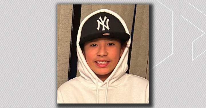 Judge denies family’s request for review in stabbing death of teen on Edmonton LRT platform - Edmonton