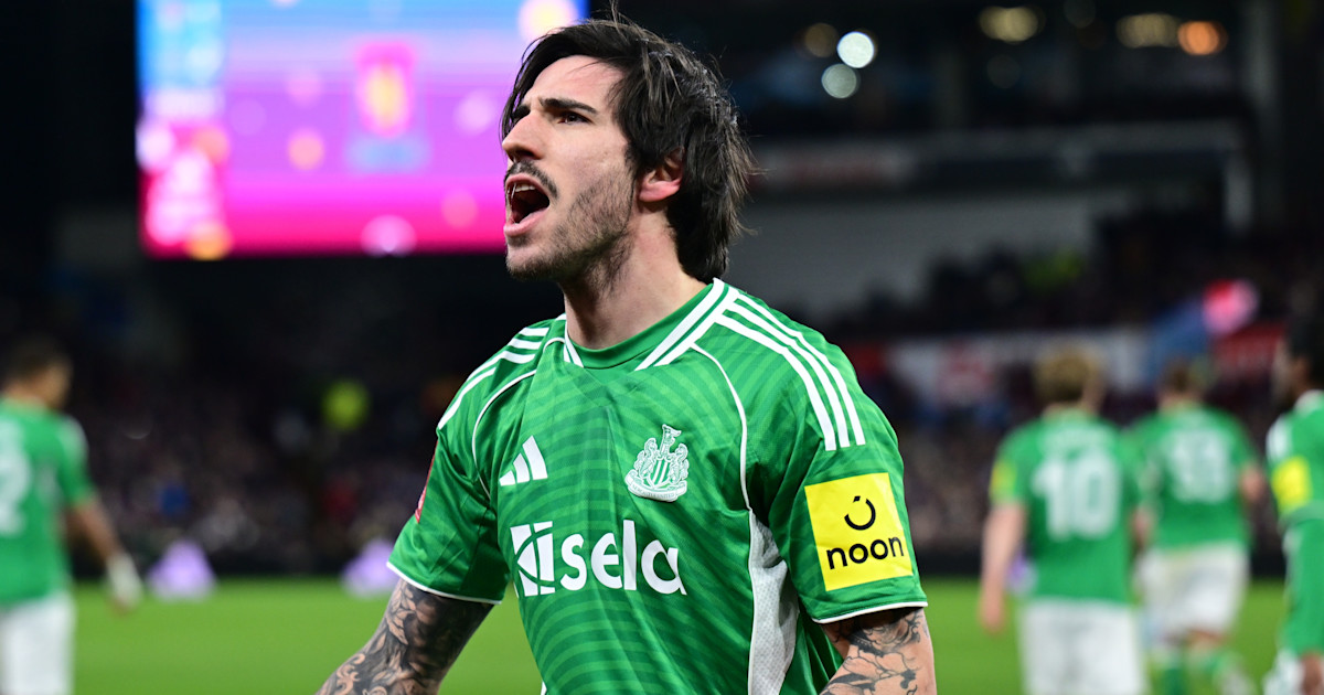 Aston Villa 1 Newcastle United 3