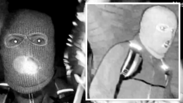 Authorities release images of masked man in Nancy Guthrie case. (FBI)
