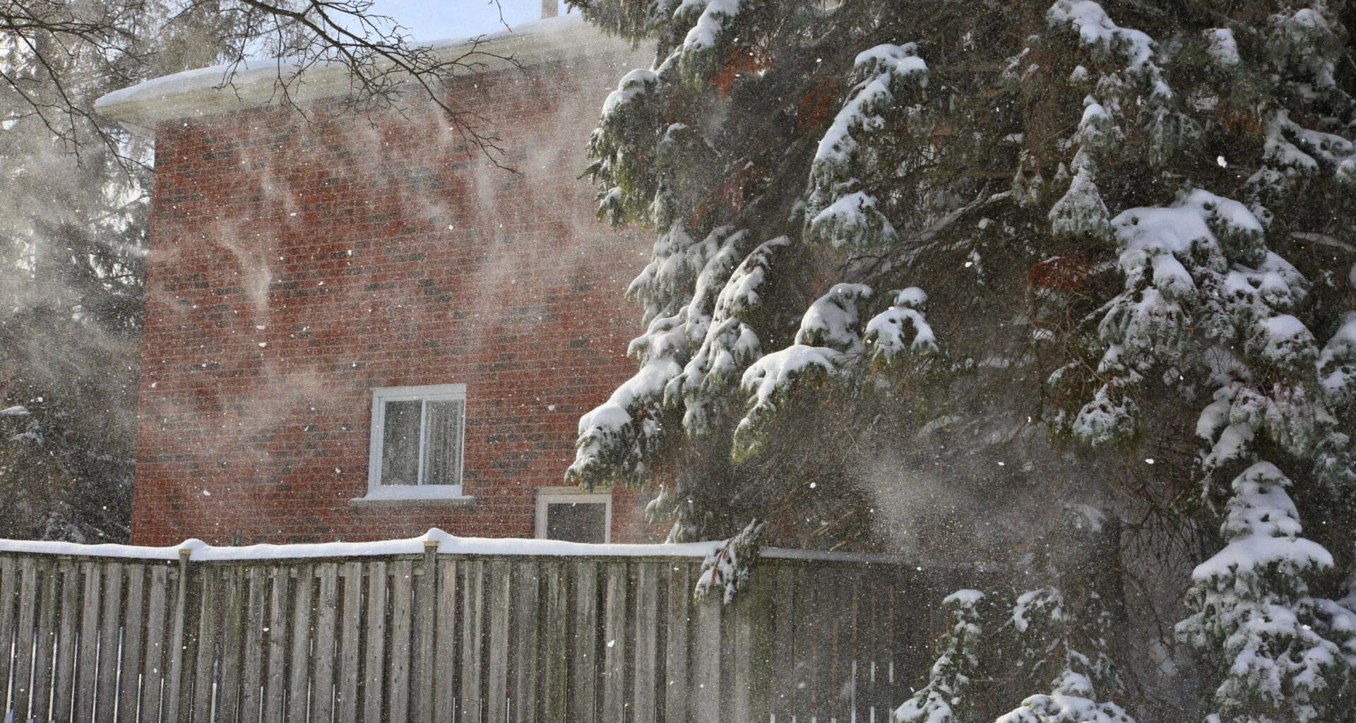 Strong winds, blowing snow expected in Toronto Friday