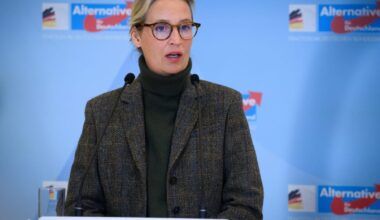 Far-right AfD eyes court win as springboard for state elections in Germany – POLITICO