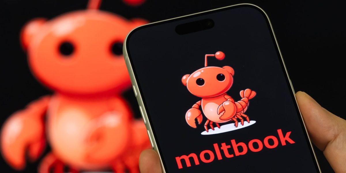 Top AI leaders are begging people not to use Moltbook: It’s a ‘disaster waiting to happen’