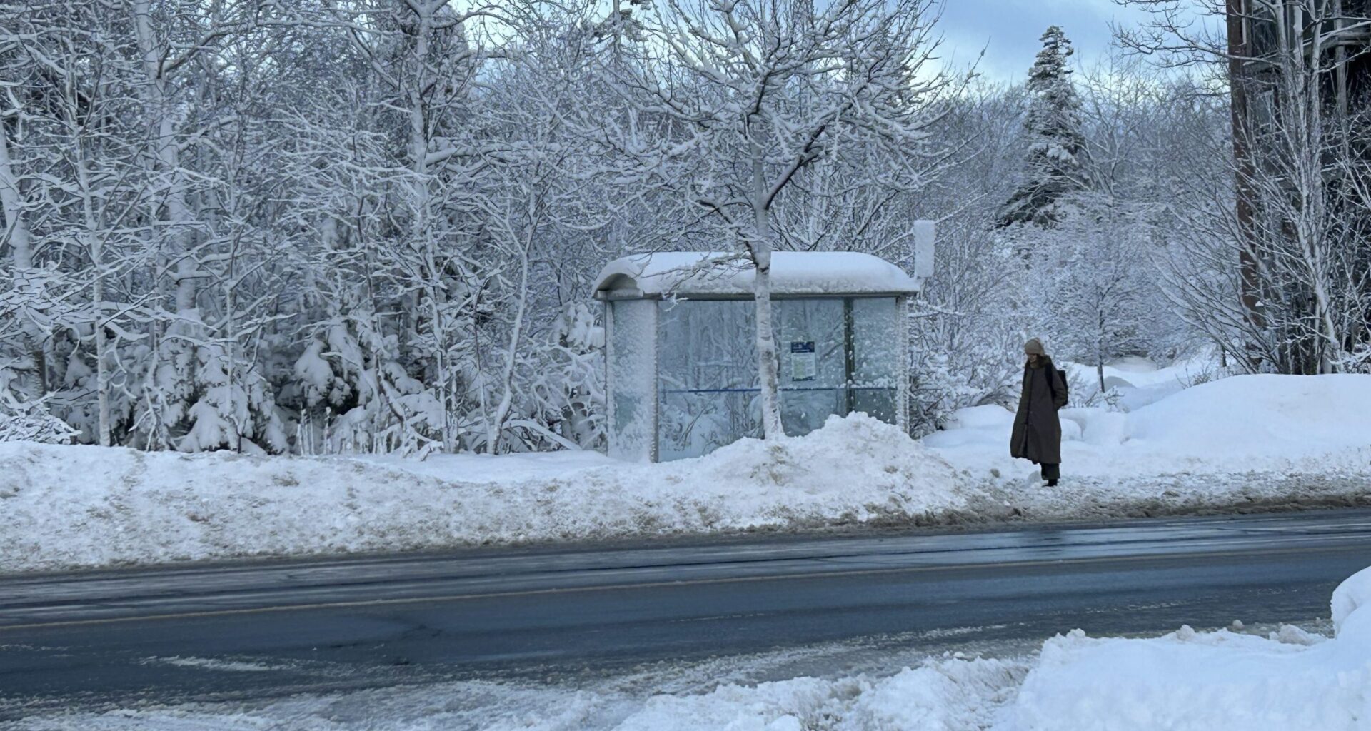 Halifax schools closed and other delays Feb. 12 after winter storm