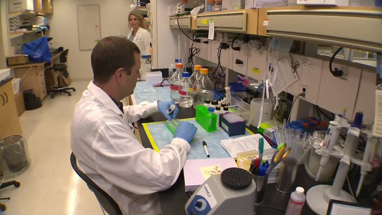 Click to play video: 'Darlington Nuclear to produce cancer-fighting isotopes'