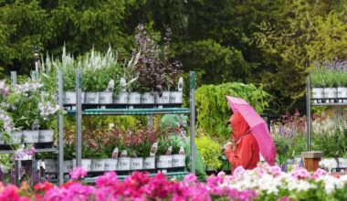 Sluggish start to spring could give way to hot ending: Weather Network