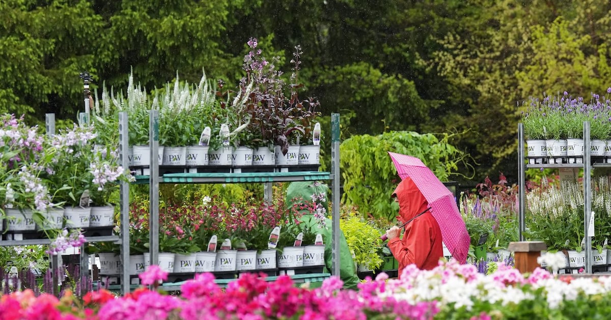 Sluggish start to spring could give way to hot ending: Weather Network