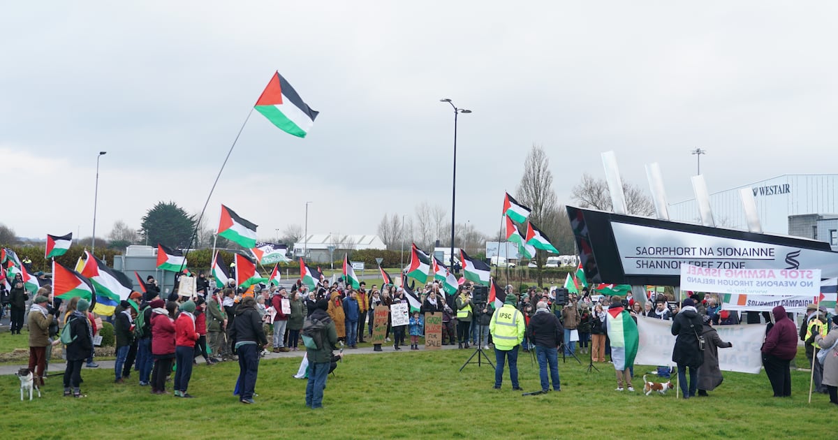 Use of Shannon Airport to deport Palestinians from US ‘reprehensible’ – The Irish Times