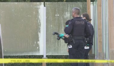 ‘The dam is breaking’: Surge in CBSA investigations of extortion suspects encourages mayors - CTV News