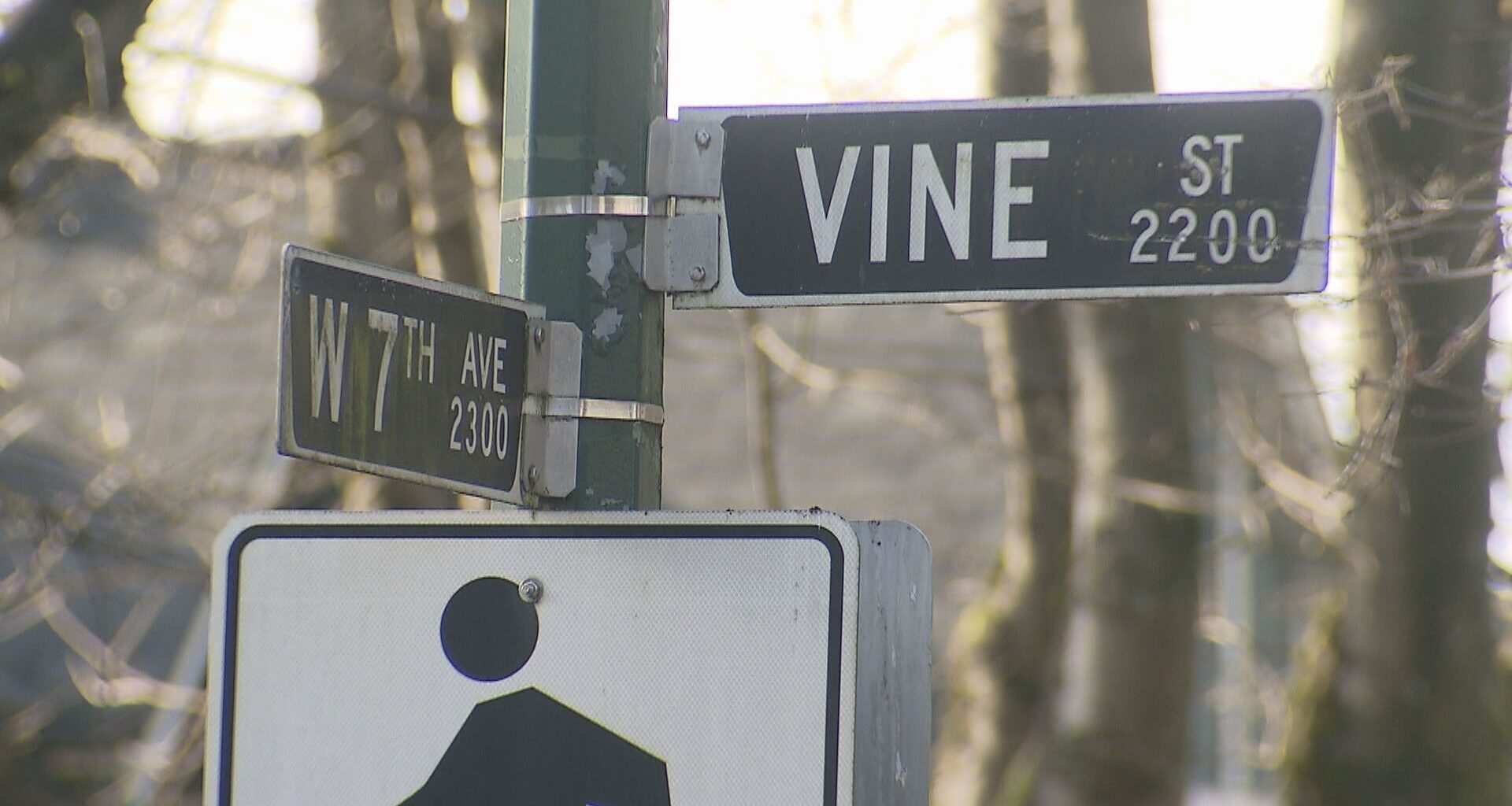 VPD arrests 61-year-old man in Kitsilano stabbing