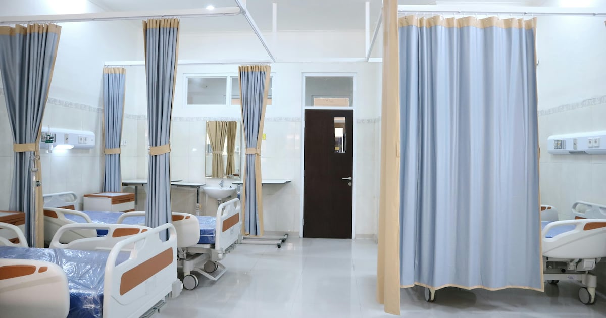 French hospital treats man with shell up his rectum - CTV News