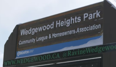 Council gives green light a 2nd time around for Wedgewood Park housing development in animated public hearing - CTV News