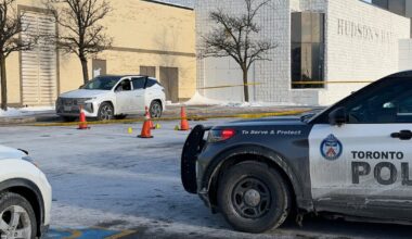 Woodbine Mall shooting: man dead