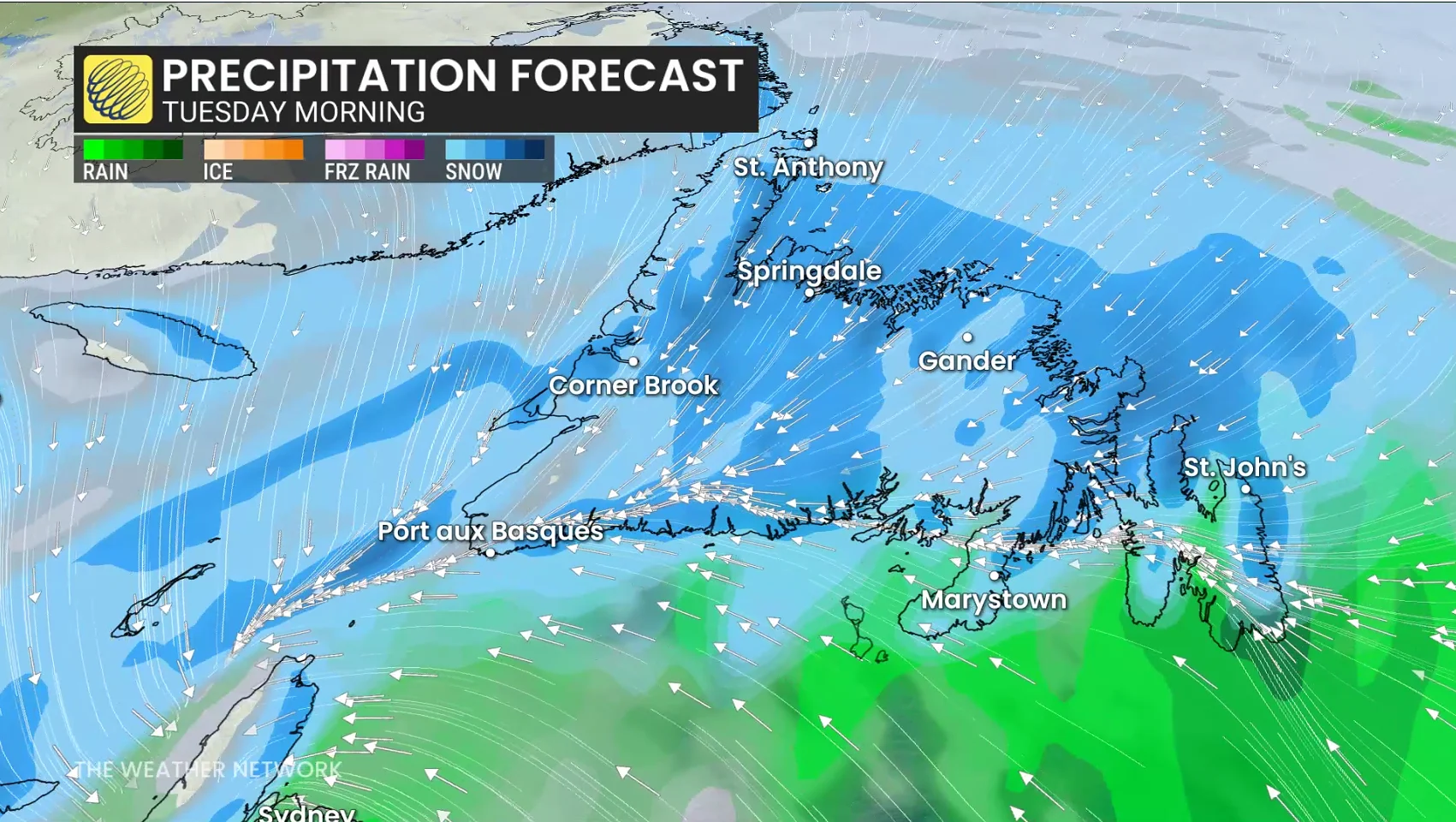 Newfoundland precipitation forecast Tuesday morning