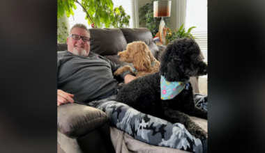 Family mourns man killed in “a senseless act of violence” in Uptown Waterloo - CTV News