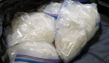 Woodstock, Ont., man charged after CBSA seizes 266 kg of meth at Blue Water Bridge - CTV News