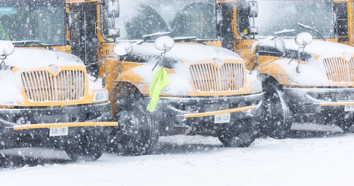 These are all of the weather-related closures and cancellations in the GTA - CP24