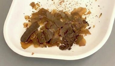 Ancient Romans Really Did Use Poop as Medicine. We Just Got The First Real Proof. : ScienceAlert