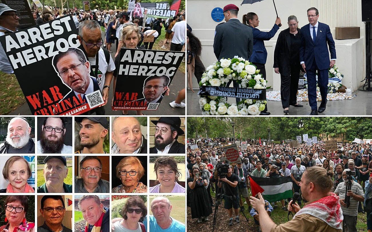 The despicable truth about the 'pro-Palestinian' protests against Herzog in Australia