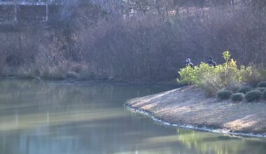 Body believed to be Lil Jon’s missing son recovered in park pond, police say - CTV News