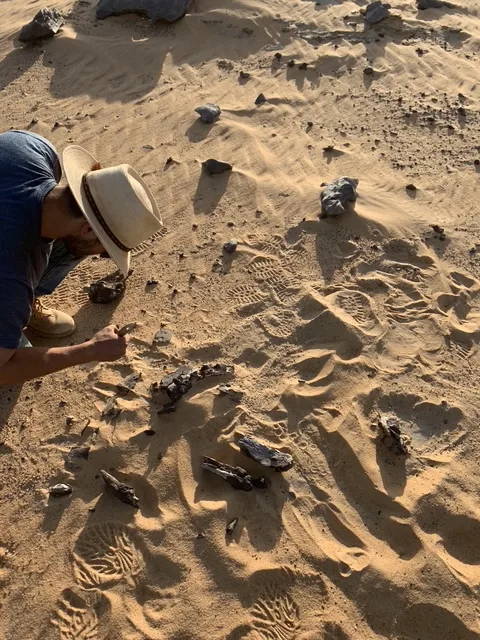 Researcher Dan Vidal finds some of the first Spinosaurus mirabilis bones in 2019