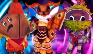 Who was Moth? The Masked Singer 2026 winner revealed