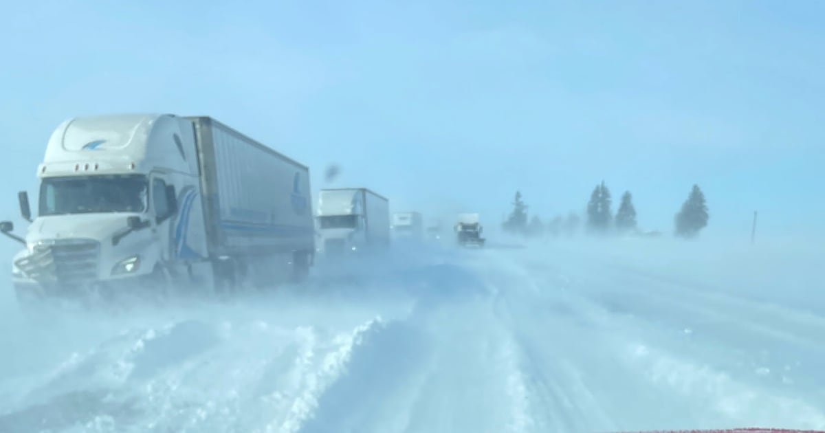 ‘I was stuck for nine hours’: Dozens of drivers stranded on impassable roads west of London, Ont. - CTV News