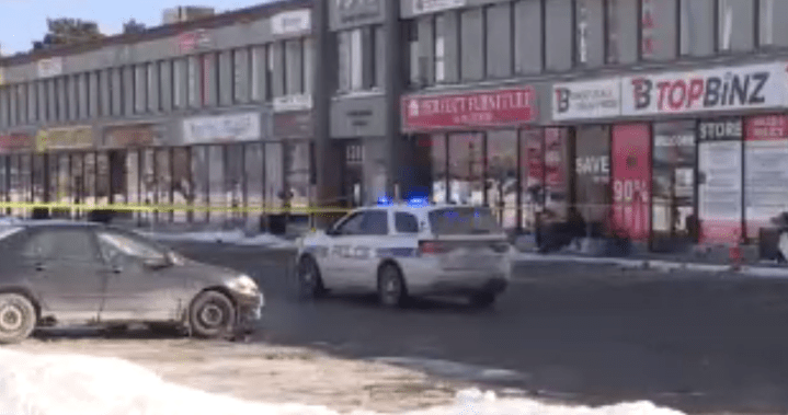 Man charged in ‘unprovoked’ Mississauga attacks that left 58-year-old woman dead