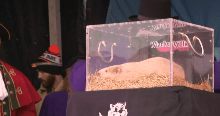 Groundhog Day 2026: Canadian groundhogs predict an early spring