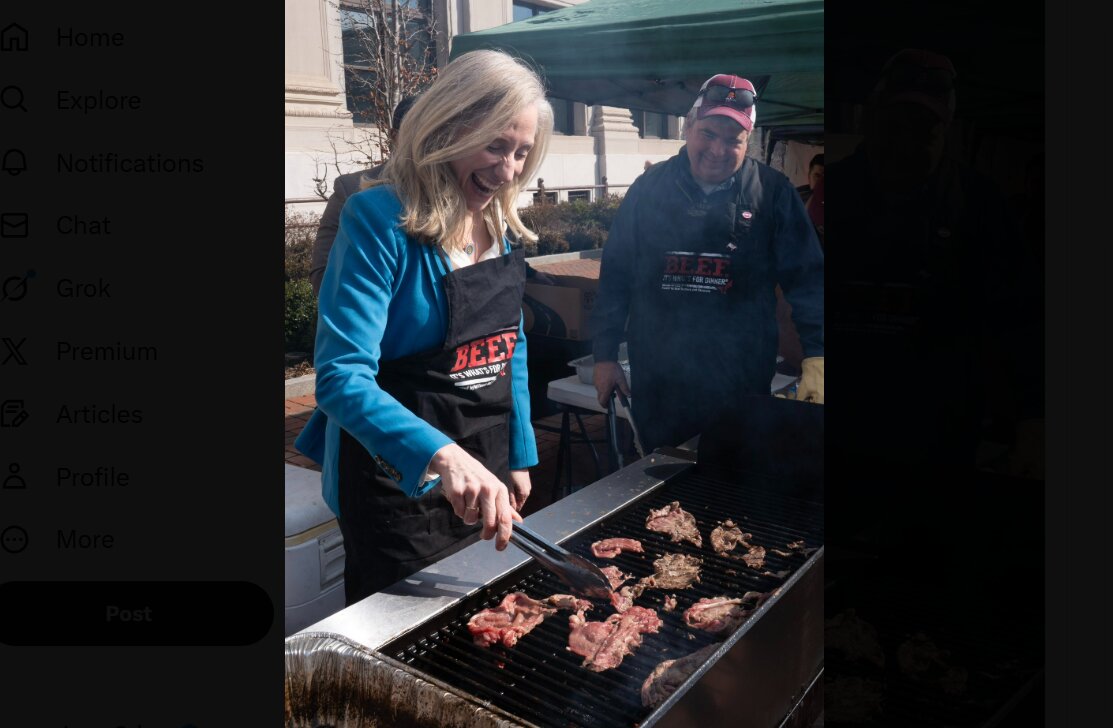 Abigail Spanberger Ruthlessly Roasted Over Grill Disaster
