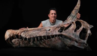 Paul Sereno and skull cast of Spinosaurus mirabilis