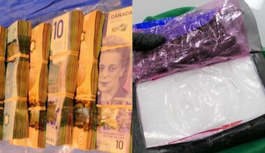 Project 8 Mile in York Region: 6 people charged