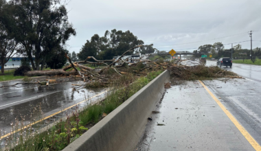 Southbound lanes of Highway 101 at Fairview Avenue reopened after tree fall Monday