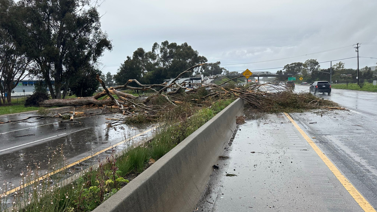 Southbound lanes of Highway 101 at Fairview Avenue reopened after tree fall Monday