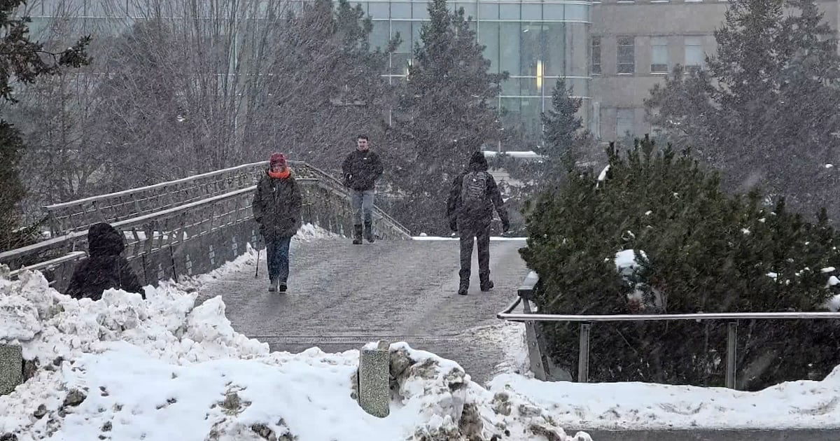 Special weather statement issued for Ottawa, calling for up to 10 cm of snow - CTV News
