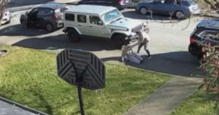 Video captures shocking broad daylight attack on New Westminster senior - BC
