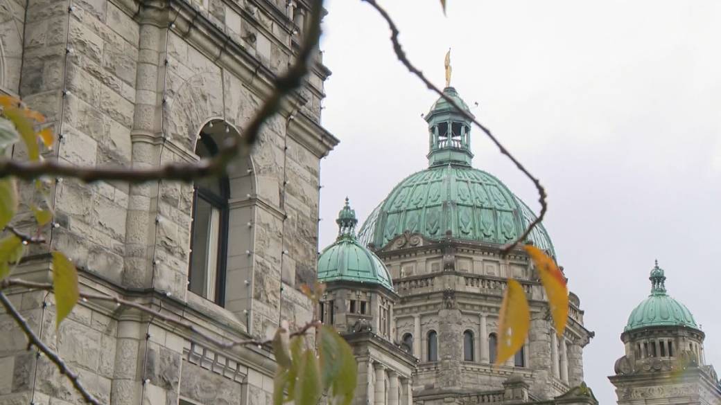 Click to play video: 'B.C. Chamber of Commerce shares concerns'