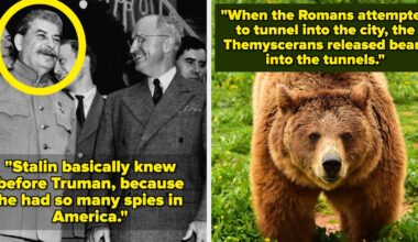 29 Absolutely Ridiculous But True History Facts