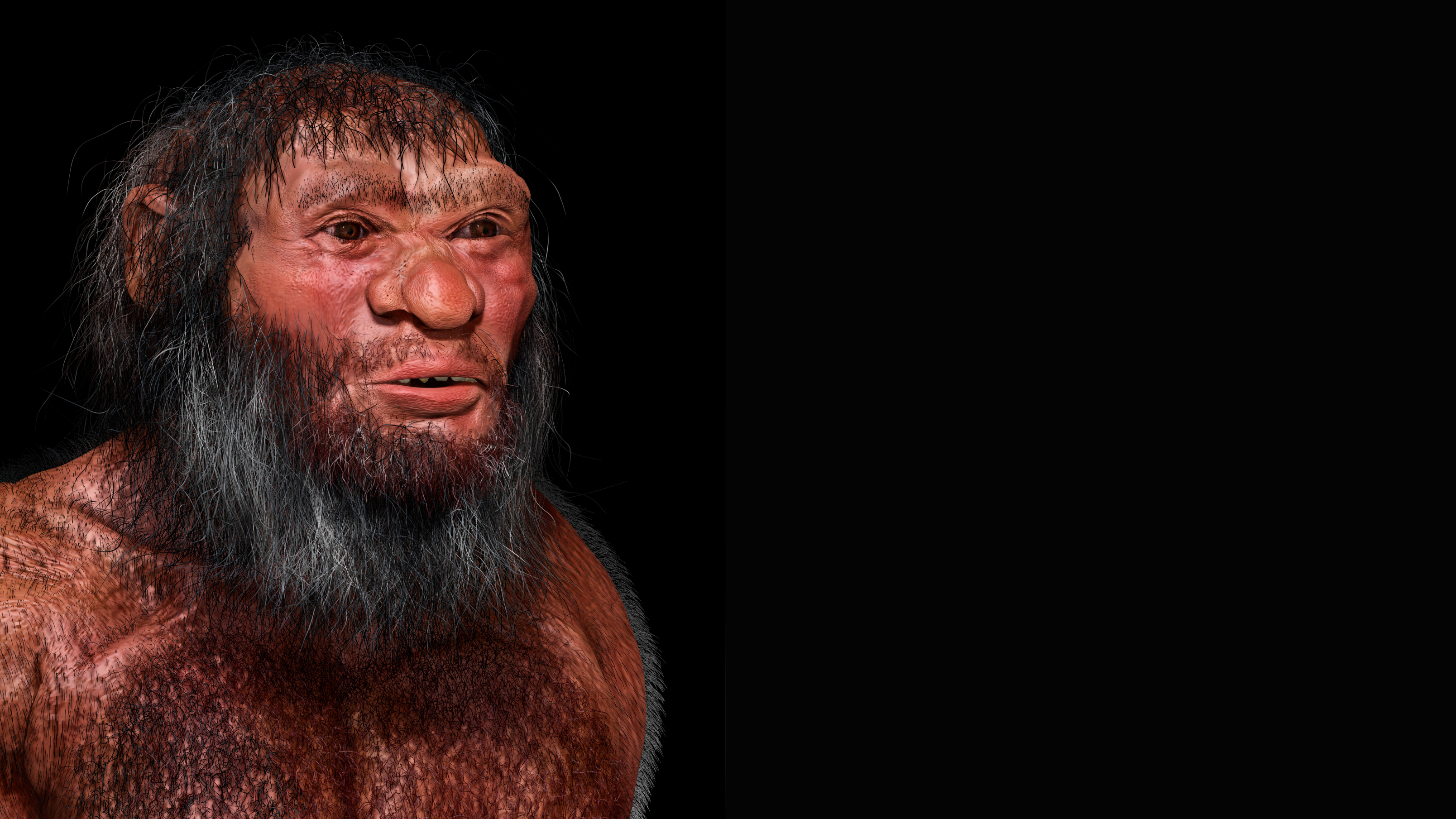 Reconstruction of Homo longi (Denisovan)