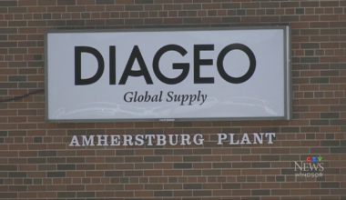 Diageo’s $23M deal with province does ‘very little to nothing’ for Amherstburg, says town mayor - CTV News