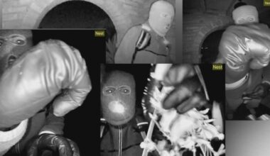 FBI recovery of 'residual data' in Guthrie case raises privacy concerns on doorbell cameras