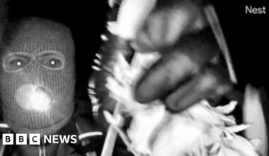 US police release images of masked person in Nancy Guthrie case - BBC