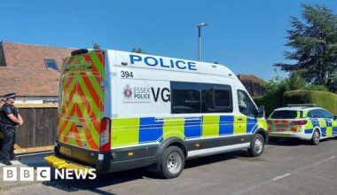 How Save A Paw in Crays Hill, Essex, became a 41-dog graveyard - BBC