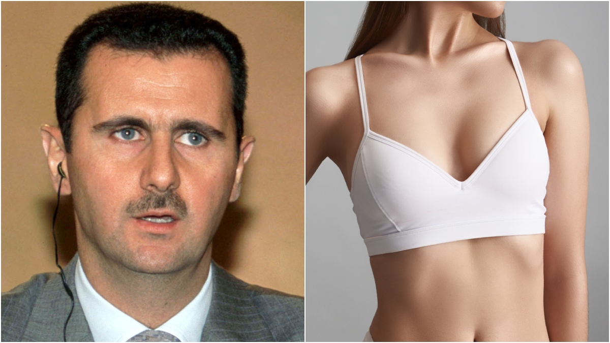 Bashar Al-Assad Was Obsessed With Sex As Syria Fell