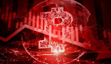 Bitcoin Crashes as Crypto Investors Whine About People Making Fun of Them