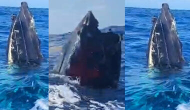 U.S. carries out lethal strikes in St Vincent waters