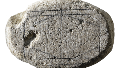 Rules of mysterious ancient board game decoded by AI, scientists say