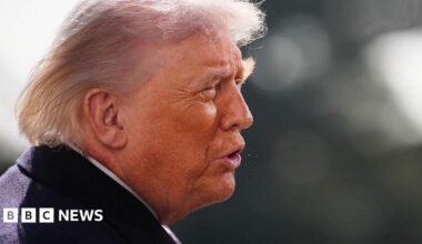 Head and shoulders profile of Donald Trump